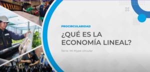 Video 1: ¿Qué es la economía lineal?
