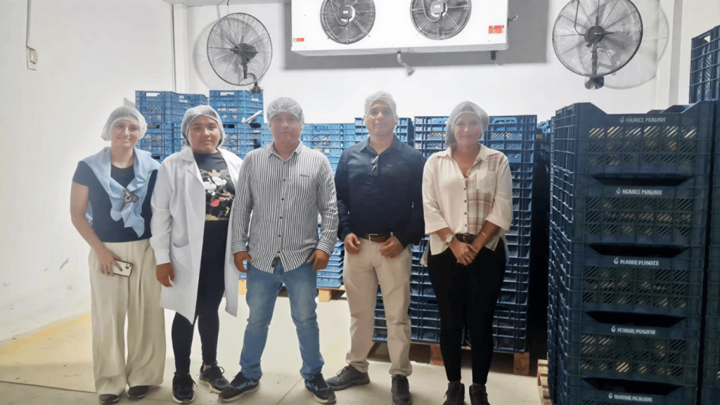 ProInnóvate anuncia a los primeros ganadores del Programa de Desarrollo de Proveedores con Enfoque Circular