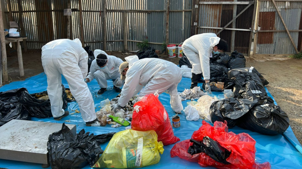 De residuos a valor: innovación circular transforma desechos en biofertilizantes en San Martín