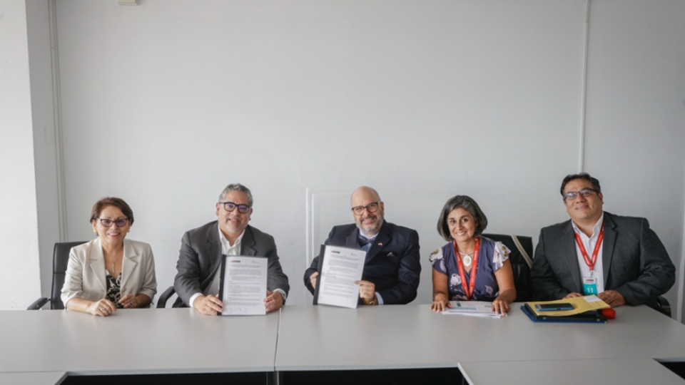 Comité Directivo de ProCircular aprueba planificación 2026