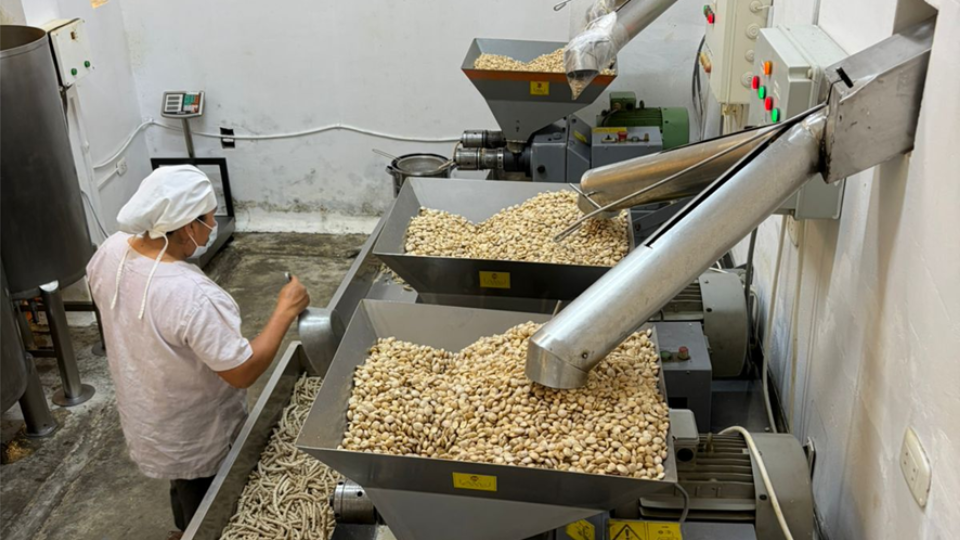 Empresas ganadoras de fondos impulsados por PRODUCE reciben acompañamiento para el levantamiento de línea base de sus proyectos circulares