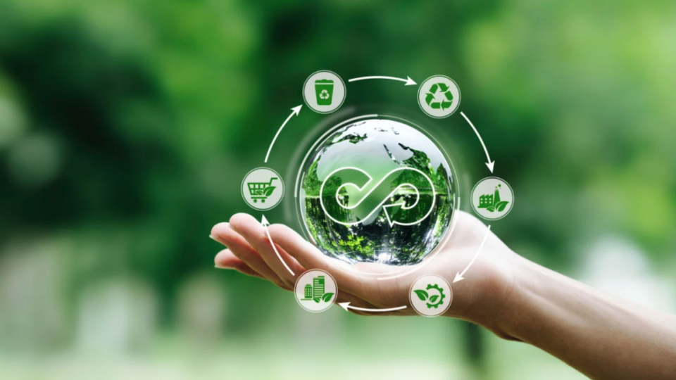 Economía circular en MYPE: tendencias actuales, desafíos prácticos y agenda de investigación futura